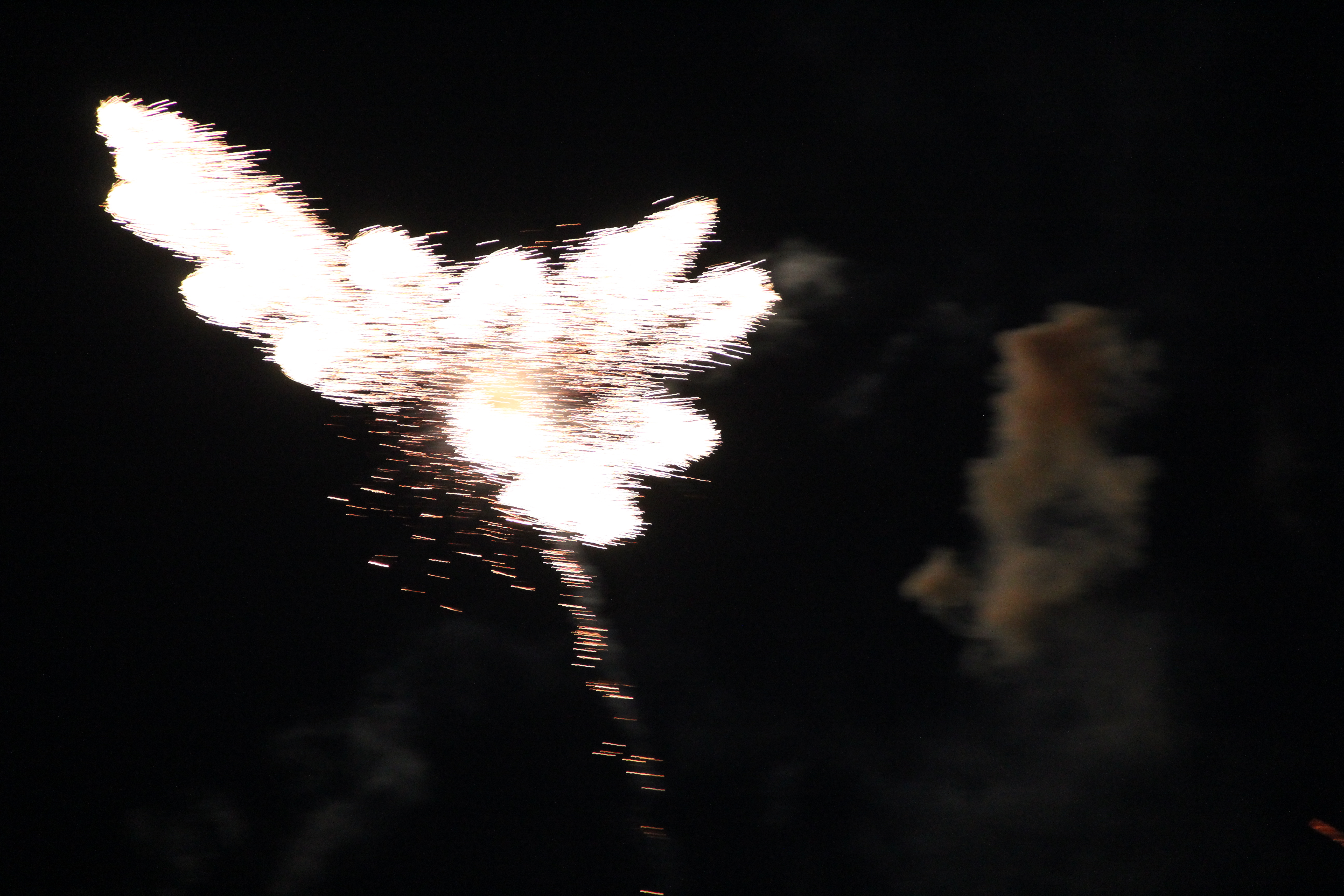 IMG_8087 dragonfly fireworks